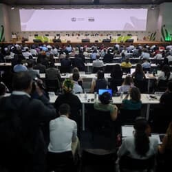 写真は２１日、ブラジルのベレンで開催された国連気候変動会議（COP30）の本会議場で撮影。REUTERS/Adriano Machado