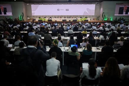 写真は２１日、ブラジルのベレンで開催された国連気候変動会議（COP30）の本会議場で撮影。REUTERS/Adriano Machado