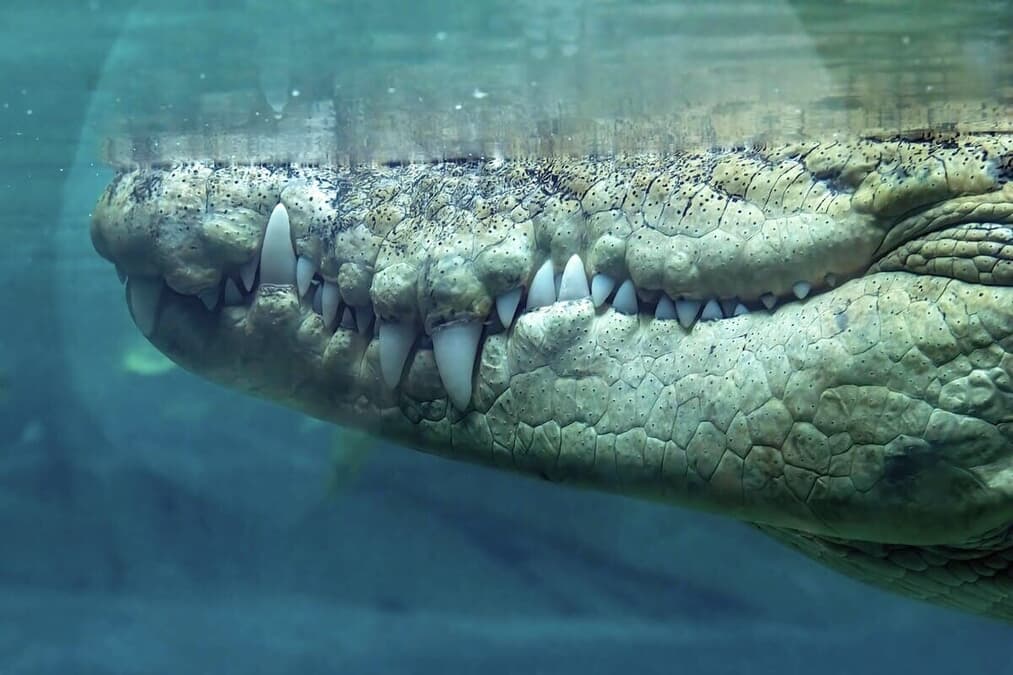 newsweekjp20251211084830-thumb