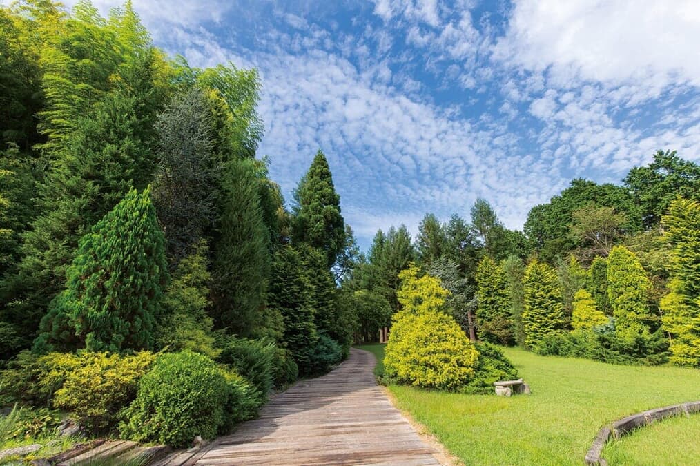 赤塚植物園が挑む「水の可能性」研究