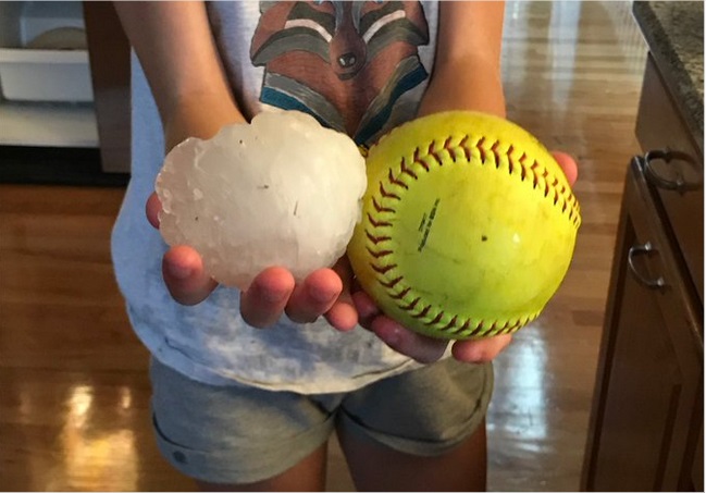 これも異常 野球ボール大の雹 がコロラドの動物園を直撃 ニューズウィーク日本版 オフィシャルサイト
