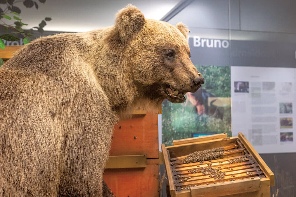 newsweekjp_20251114111440-