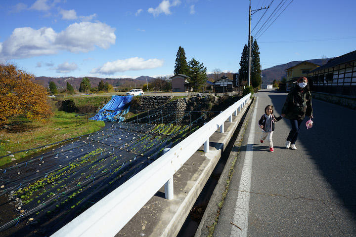 日本食を芸術へと高める ワサビ の里 山と海をつなぐ安曇野を歩く ニューズウィーク日本版 オフィシャルサイト