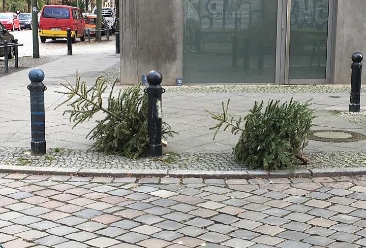 毎年00万本以上も廃棄されるドイツのクリスマスツリー問題 ワールド For Woman ニューズウィーク日本版 オフィシャルサイト