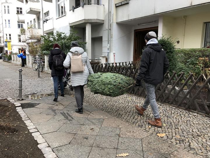 毎年00万本以上も廃棄されるドイツのクリスマスツリー問題 ワールド For Woman ニューズウィーク日本版 オフィシャルサイト