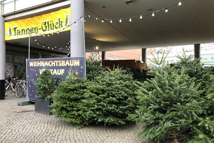 毎年00万本以上も廃棄されるドイツのクリスマスツリー問題 ワールド For Woman ニューズウィーク日本版 オフィシャルサイト