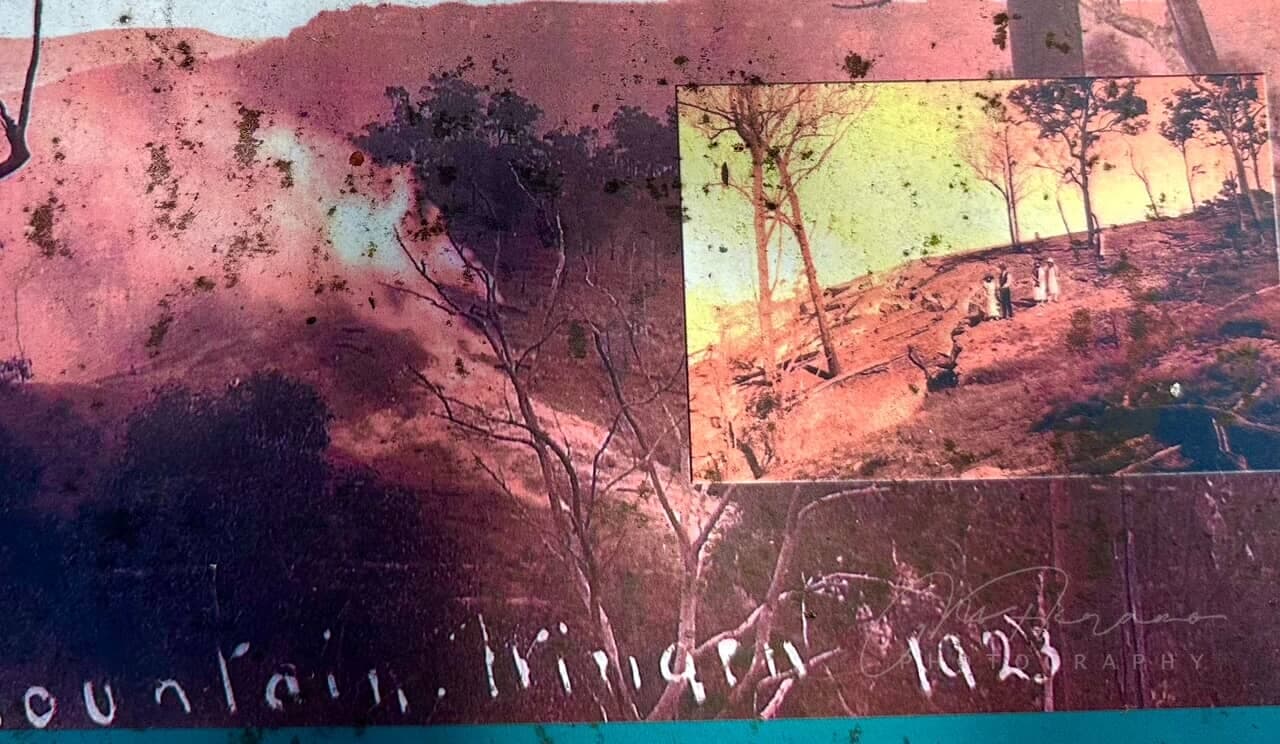 燃える大地、眠る山 VOLCANO48/リザルト】 ULTRA HIKING CHALLENGE「VOLCANO72」と並行して