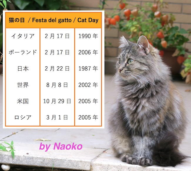 日伊の犬 猫飼育状況と猫雑誌 読者が決めたイタリア猫の日 イタリアの緑のこころ World Voice ニューズウィーク日本版 日伊の犬 猫飼育状況と猫雑誌 読者が決めたイタリア猫の日 イタリアの緑のこころ World Voice ニューズウィーク日本版