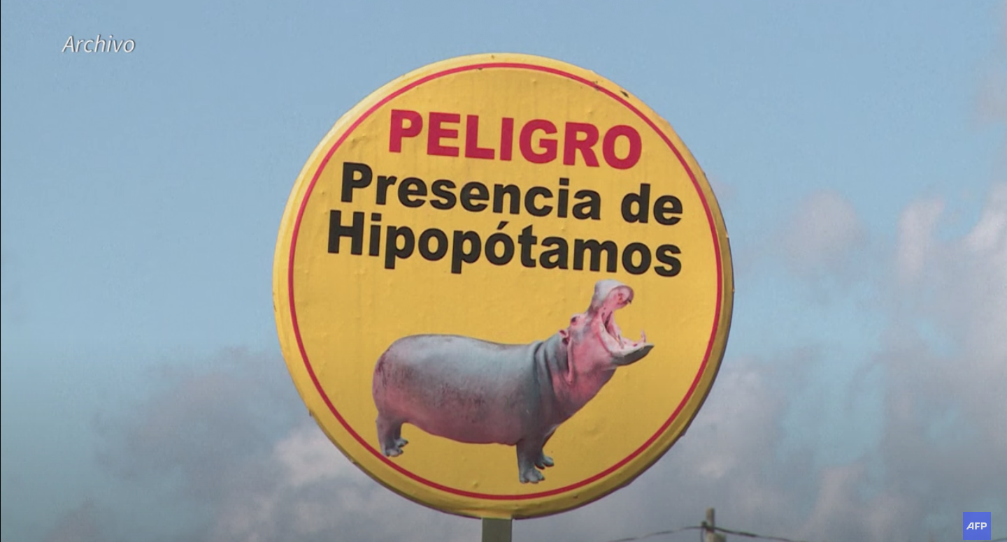 カバ？サインぺン