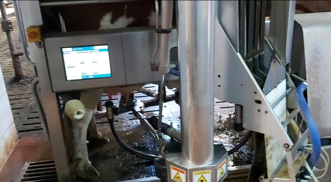 WhatsApp Image 2020-10-21 at 13.58.45 (1).jpeg