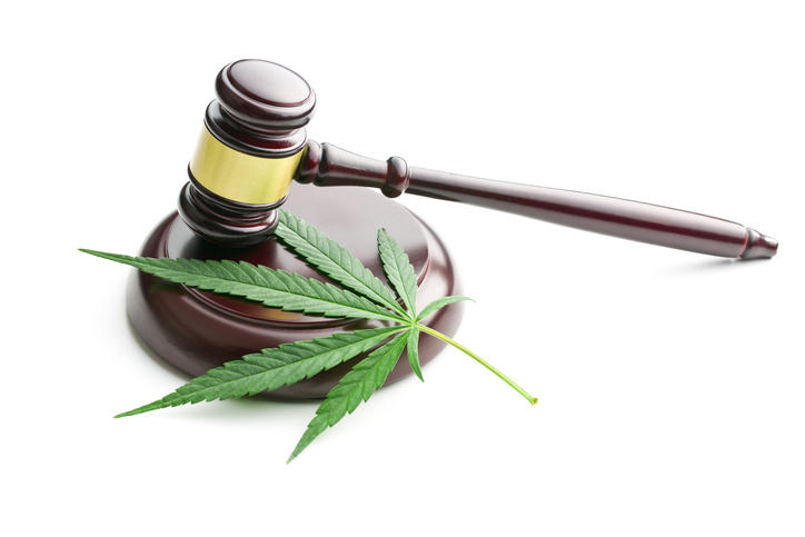 イタリアの大麻合法化事情 イタリア事情斜め読み World Voice ニューズウィーク日本版 イタリアの大麻合法化事情 イタリア事情斜め読み World Voice ニューズウィーク日本版